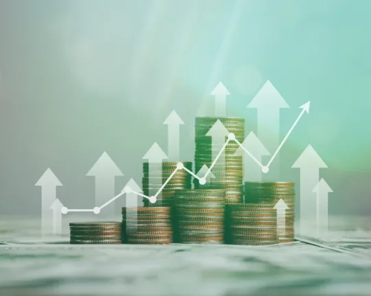 The Cost of Pricing Errors: Preventing Revenue Leakage