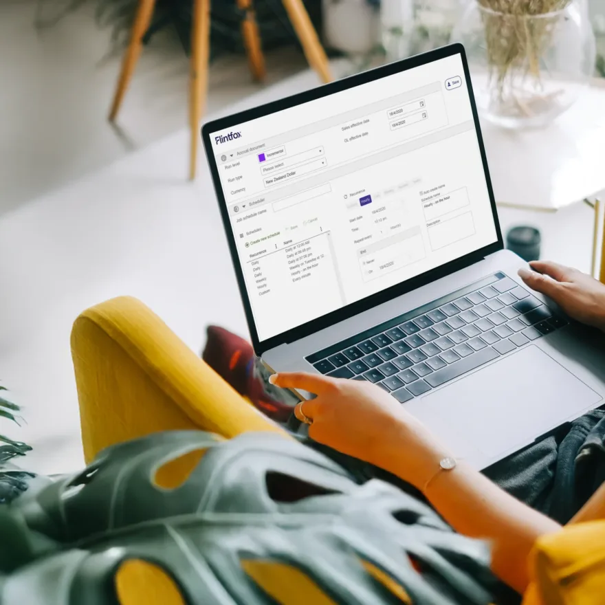 Flintfox software UI